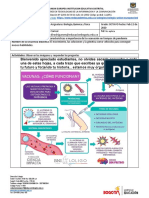 Grado Octavo Ciencias Naturales