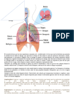 Temas Exposiciones