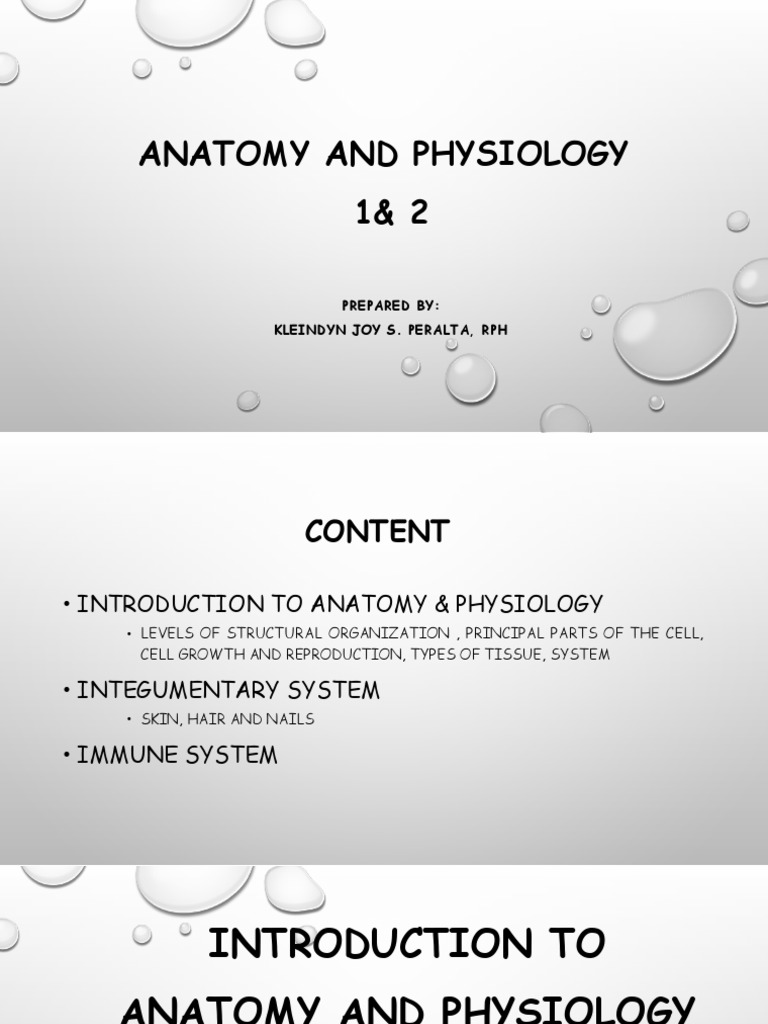 Anatomy and Physiology 1&2 (Part 1) | PDF | Endoplasmic Reticulum | Mitosis