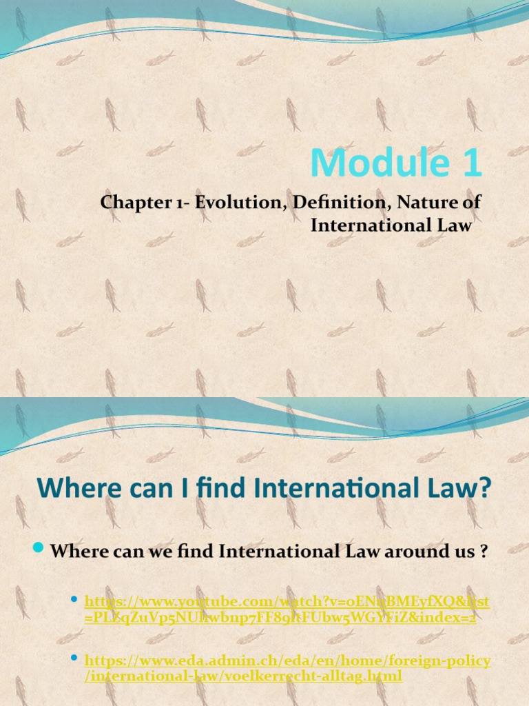 Evolution and Nature of International Law | PDF | International Law ...