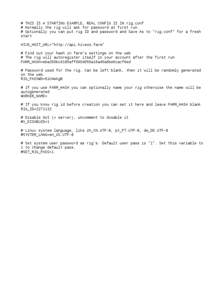 Rig Config Example PDF