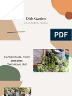 Dish Garden