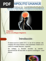 Sistema Nervioso Central