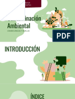 Contaminacion Ambiental