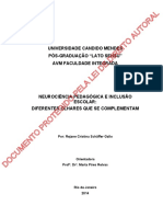 Documento Protegido Pela Lei de Direito Autoral: Universidade Candido Mendes Pós-Avm Faculdade Integrada