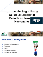 5-01-11 Gestión de Seguridad y Salud Ocupacional Basada en Normas Nacionales
