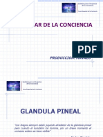 Glandula Pineal