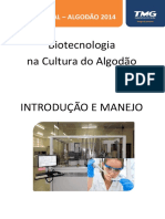 Biotecnologia na Cultura do Algodão