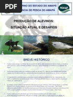 producao_alevinos_clesiocardoso