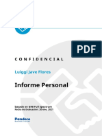 Informe Personal - Luiggi Jave