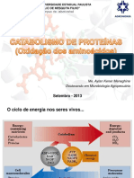 Catabolismo de Proteinas