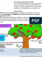 El Arbol de La Vida