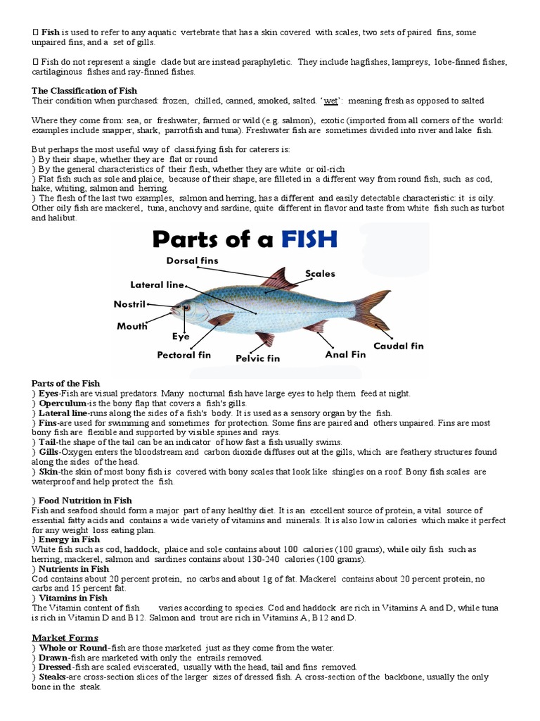 The Classification of Fish Market Forms PDF Fish Fish And Humans