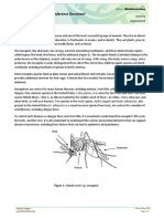 Mosquito Reference Document: Activity Supplement