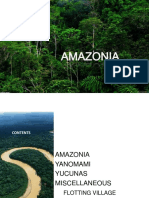 Amazonianvernaculararchitecture 130925125156 Phpapp01