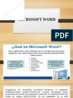 Microsoft Word