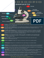 Partes Del Microscopio