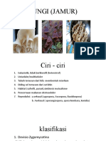 Jamur (Fungi) - Ciri, Klasifikasi, Reproduksi, dan Simbiosis