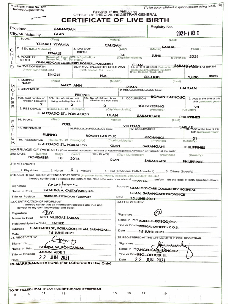 Certificate of Live Birth Form Philippines | PDF | Motherhood | Human ...