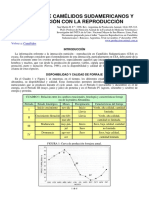 49-nutricion_camelidos