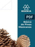Guia Basica de Pinos Mexicanos