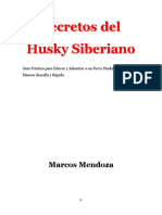 Husky Siberiano Secretos