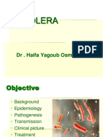 Cholera: DR - Haifa Yagoub Osman