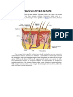 Os receptores cutâneos e a percepção sensorial da pele