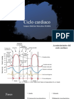 Exposicion Ciclo Cardiaco