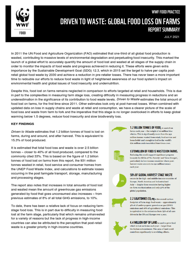 Farm-Level Food Loss Crisis | PDF | Foods | Food Security
