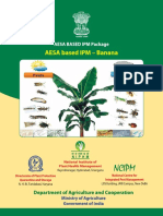 Aesa Based Ipm Package