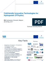 1 - Rutschmann - FIThydro Presentation IEA