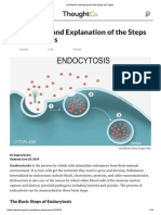 A Definition of Endocytosis With Steps and Types