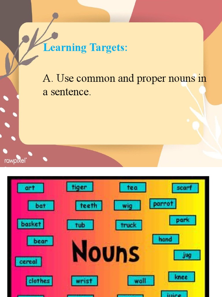 Common and Proper Nouns Explained | PDF | Noun | Grammatical Number