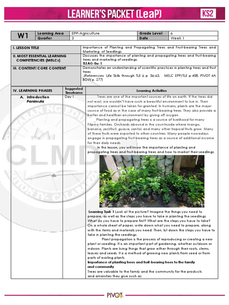 EPPAgriculture 6 3 Week 1 PDF Trees Plants