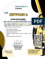 Certificado Seguridad y Salud Ocupacional Online