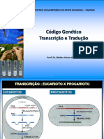 5 Genetica Molecular Transcricao, Traducao. Codigo Genetico