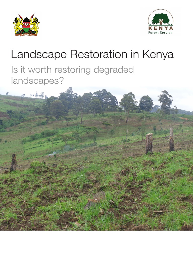 landscape-restoration-in-kenya-is-it-worth-restoring-degraded