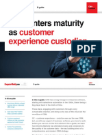 CRM Customer Experience Custodian: Enters Maturity As