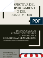 Perspectiva Del Comportamiento Del Consumidor