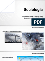 3 ano - A questão ambiental – Parte 2