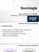 3 ano - Diferentes Correntes do Ambientalismo - Parte 1