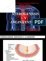 Ateroesclerosis y Angina Estable