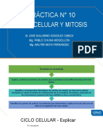 Semana 10 Ciclo Celular - Práctica