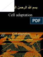 Cell adaptation - lec 3 (3)
