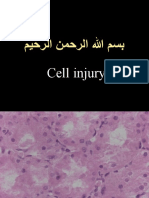 Cell injury  - lec 4 (2)