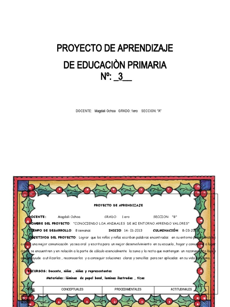 Proyecto de Aprendizaje para 3 Grado | PDF | Evaluación | Evaluación ...
