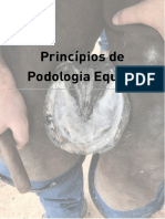 Princípios de Podologia Equina