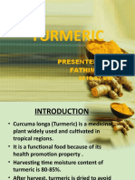 Turmeric: Presented By, Fathima - MK