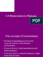 Homeostasis in Humans
